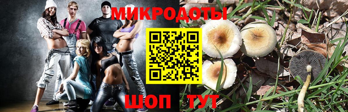 Ртищево  Псилоцибиновые грибы ЛСД  где купить наркоту  Вход с VPN  Псилоцибиновые грибы Psilocybe 